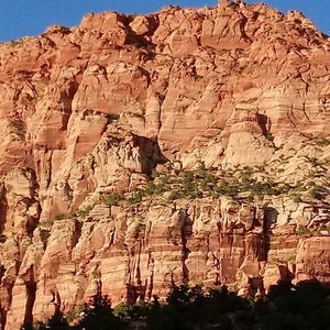 Meet your Posher, Terry